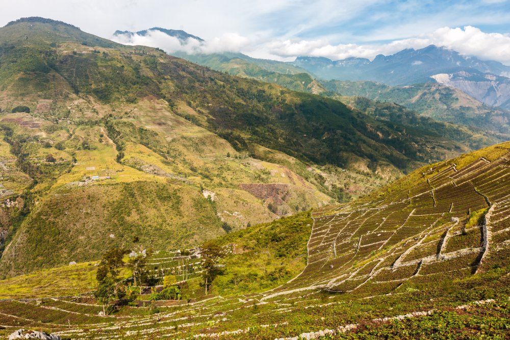 Traditional Dani tribe village with round houses called Honai