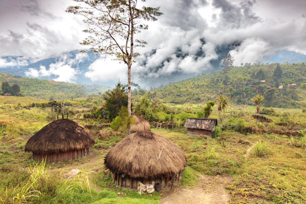 Traditional round houses called Honai with vegetal roof in West Papua