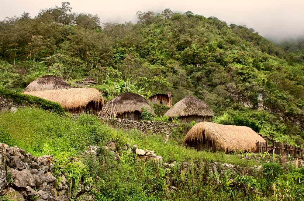 Landscape Photo of A traditional village in Papua New Guinea