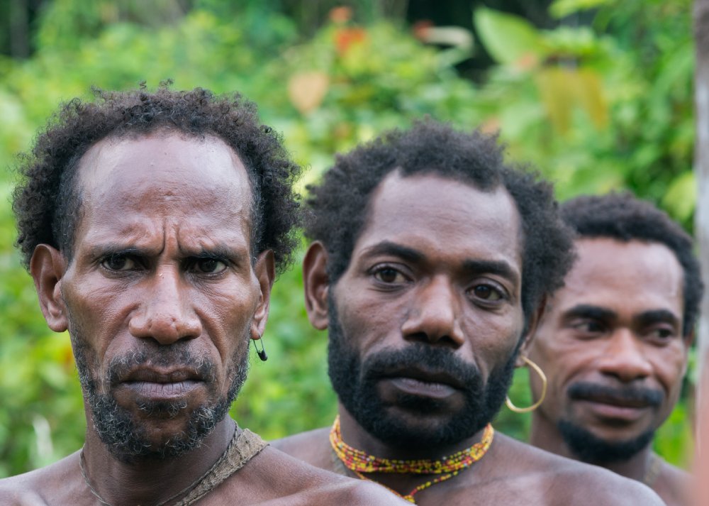 The group Portrait Korowai people on the natural green forest background