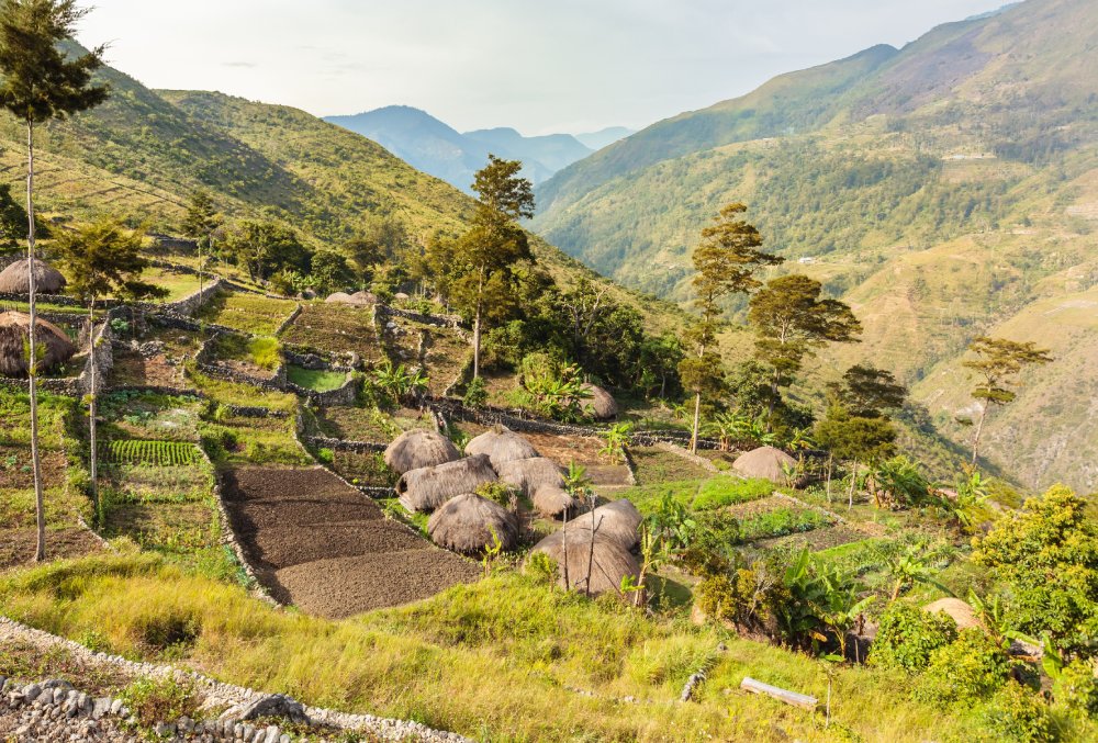 Traditional Dani tribe village with round houses called Honai