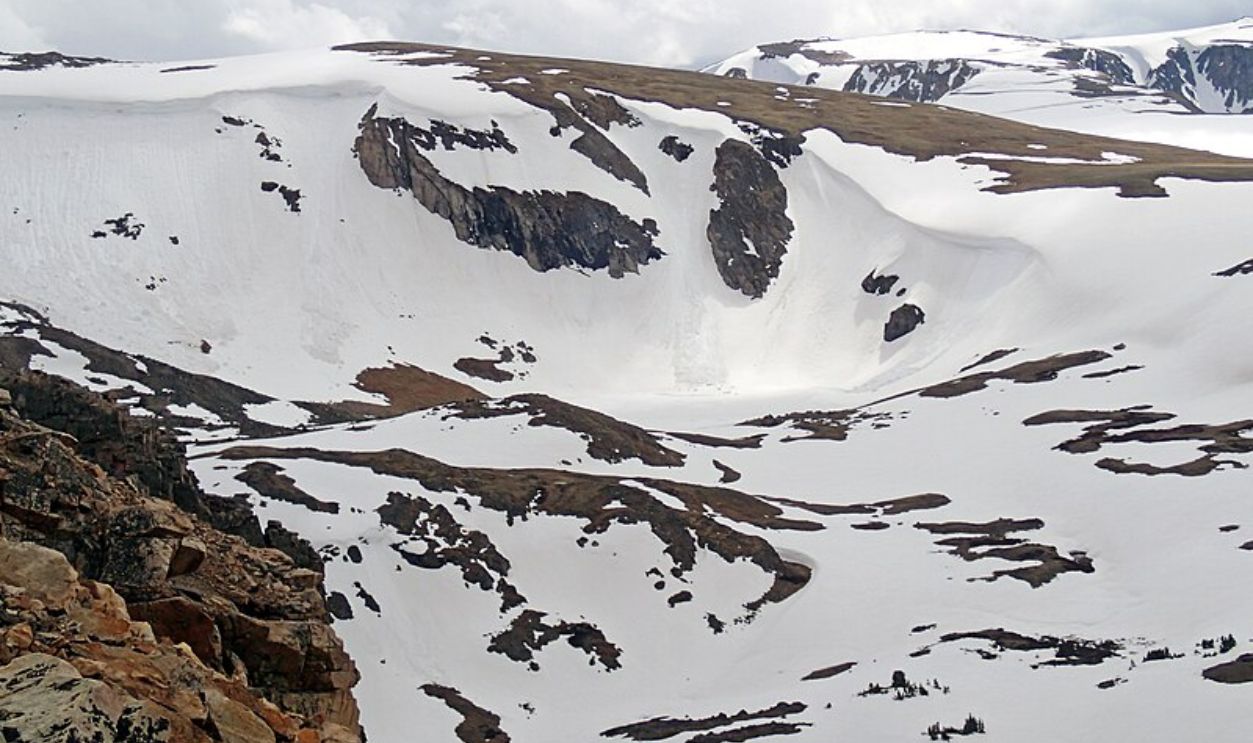  Wyoming's Whitebark Pines