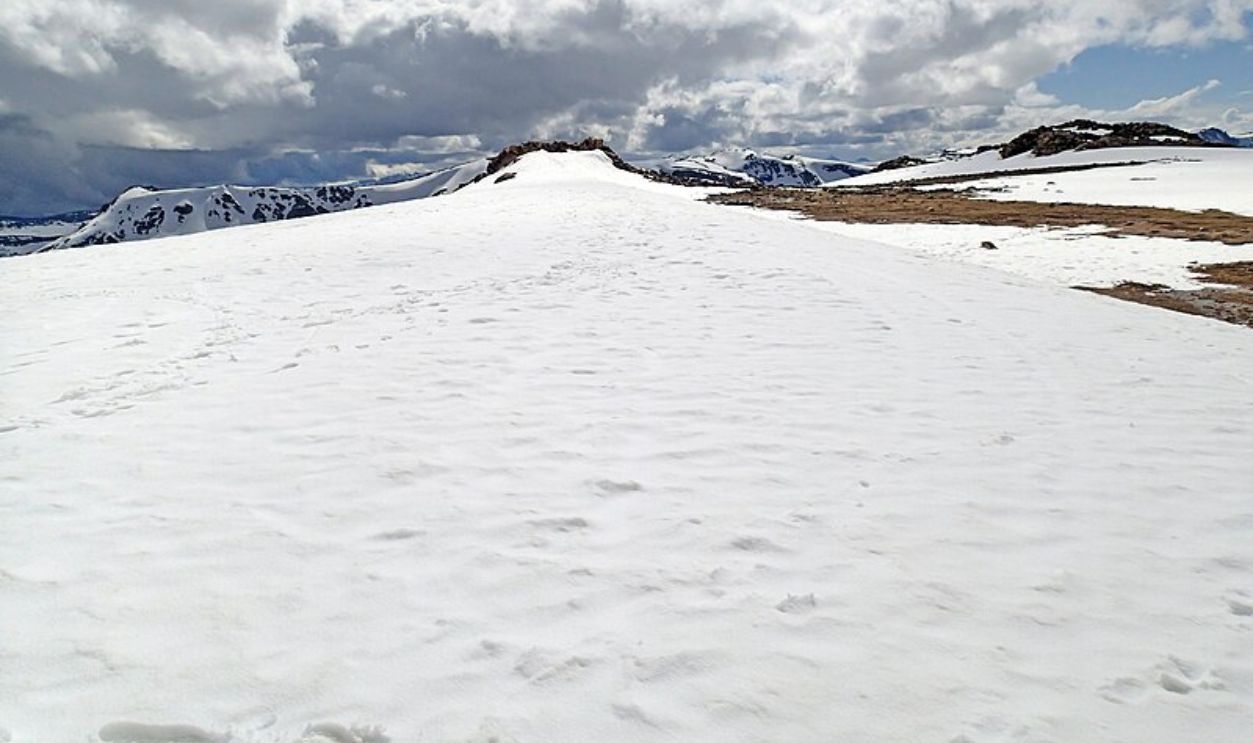  Wyoming's Whitebark Pines