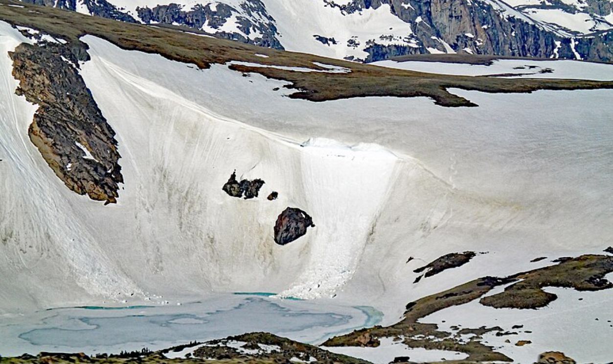 Wyoming's Whitebark Pines