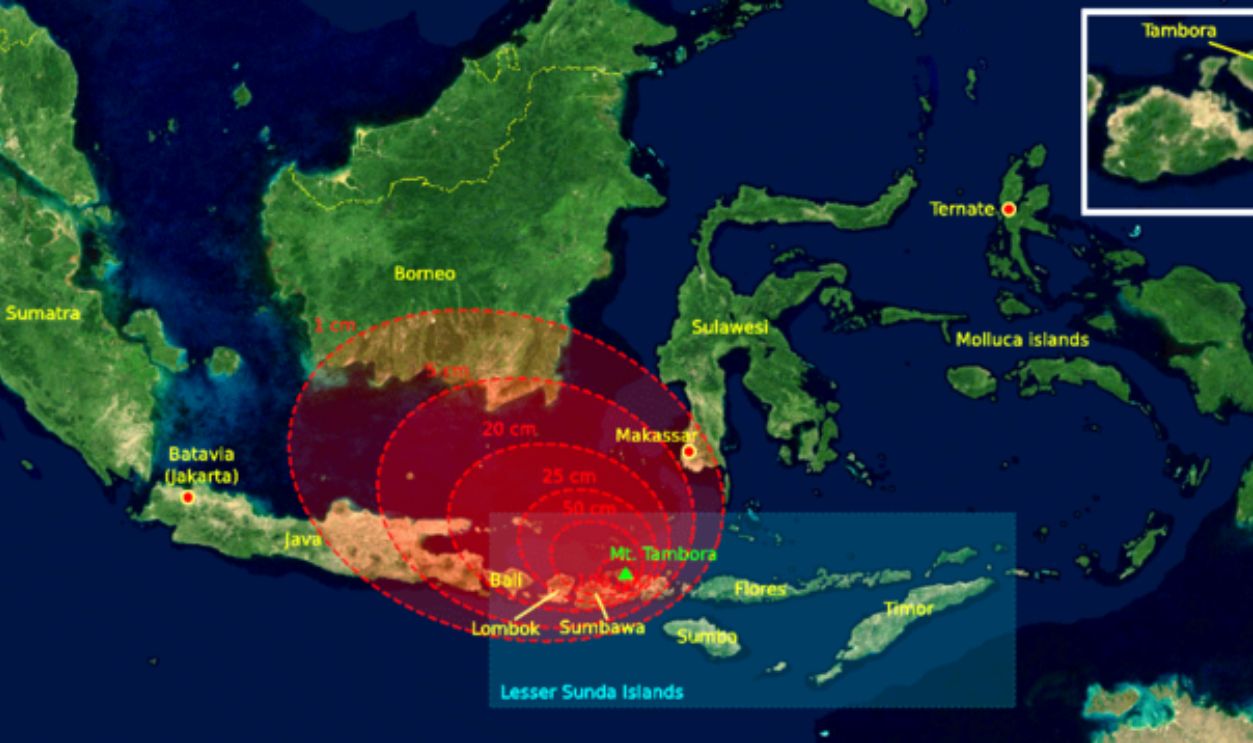 Wyoming's Whitebark Pines'