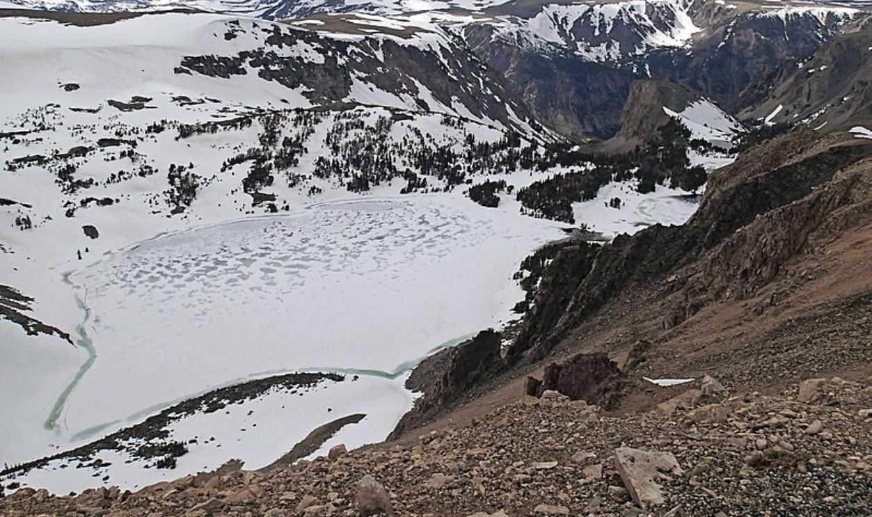  Wyoming's Whitebark Pines