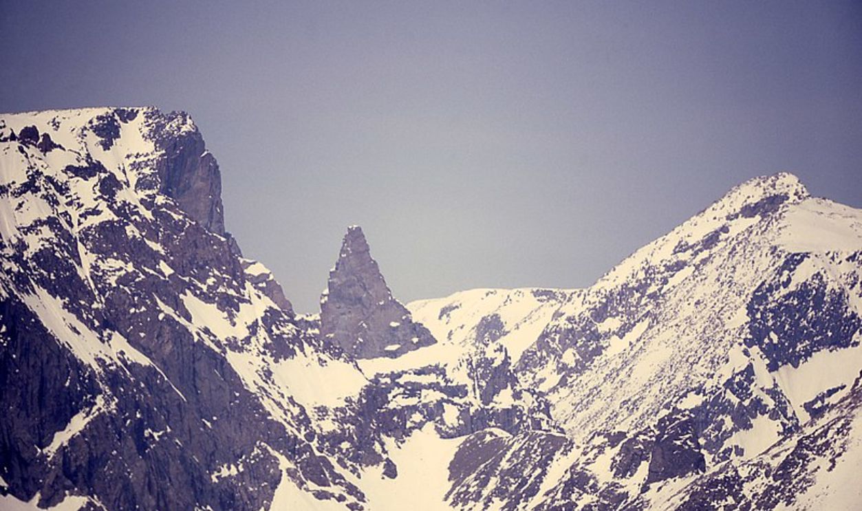  Wyoming's Whitebark Pines
