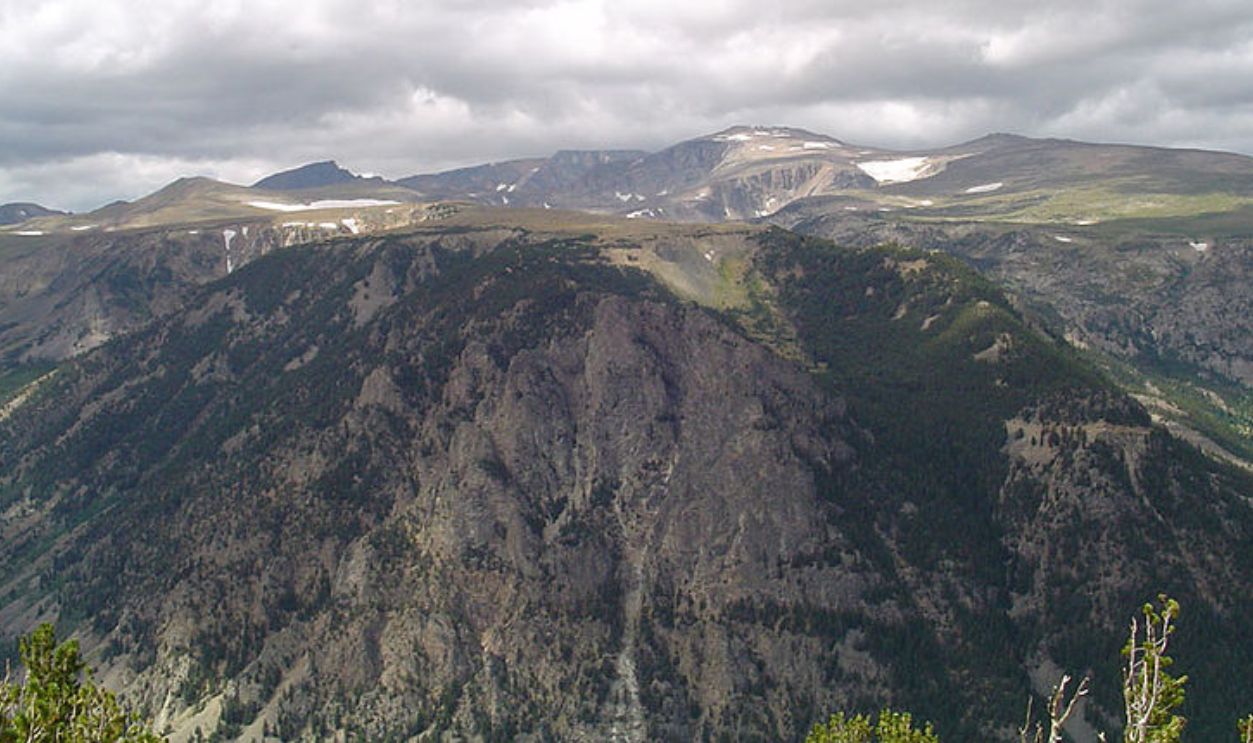  Wyoming's Whitebark Pines