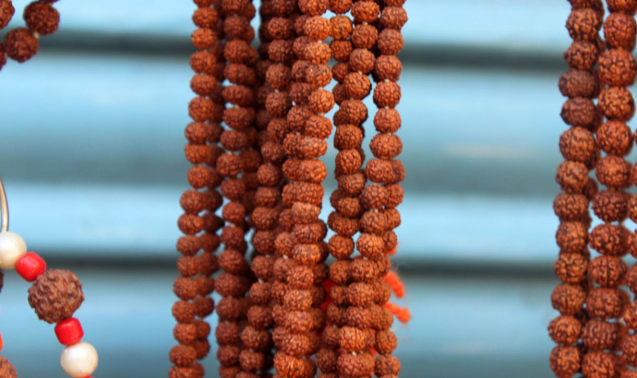 rudraksha