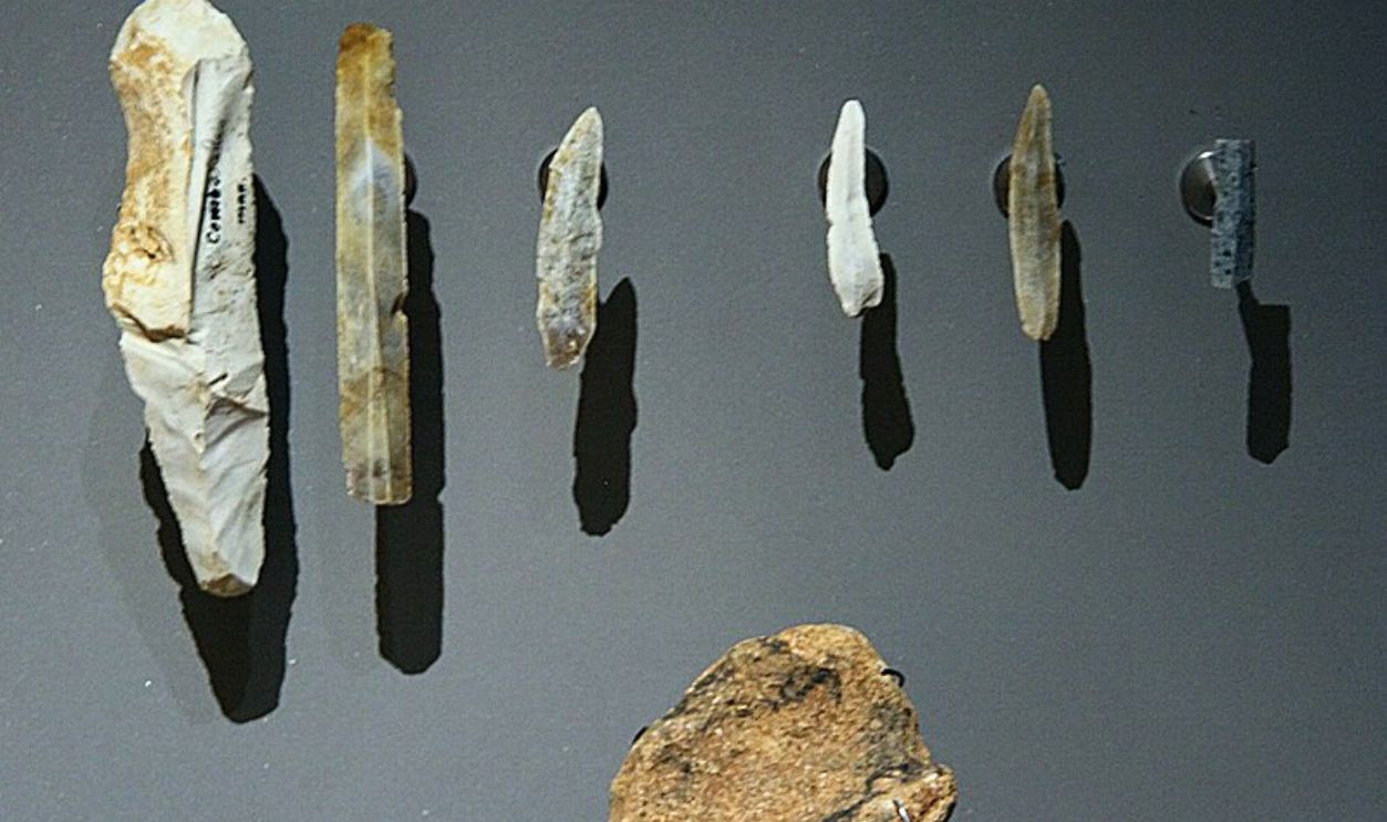 Wyoming's Whitebark Pines