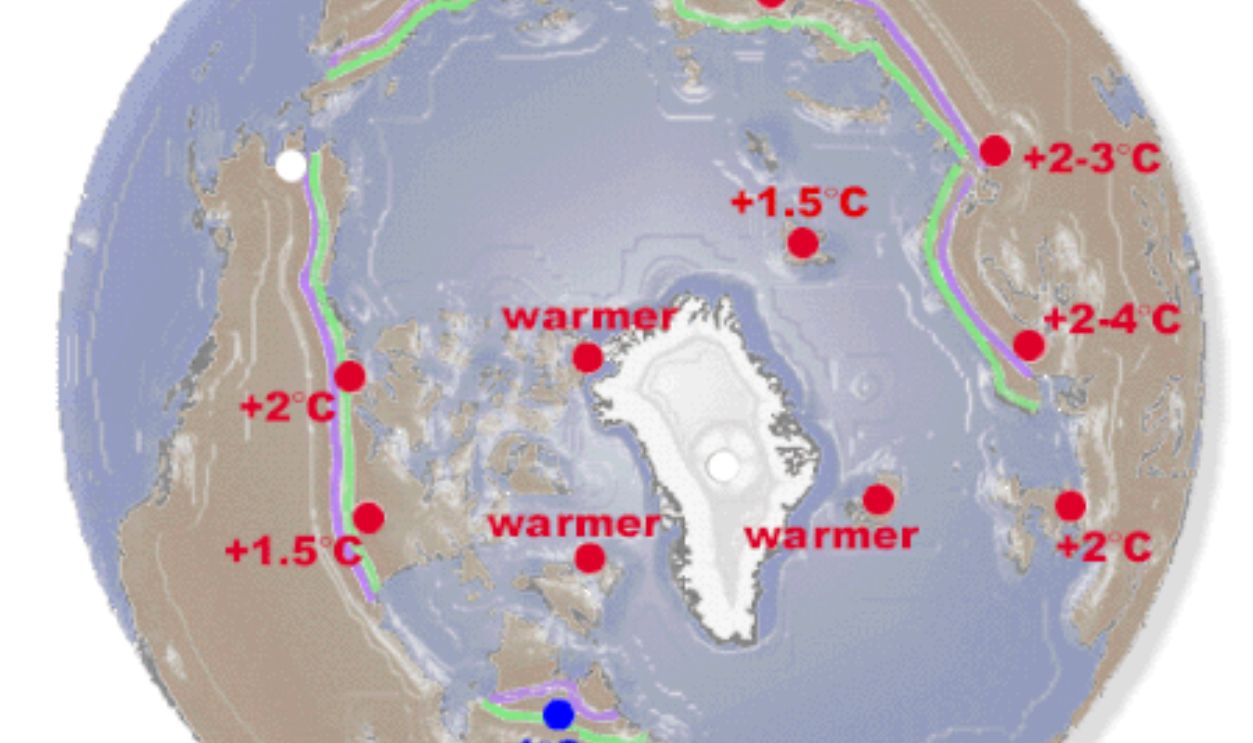 Wyoming's Whitebark Pines