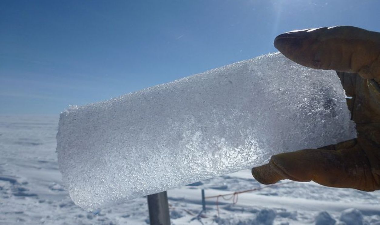 Wyoming's Whitebark Pines