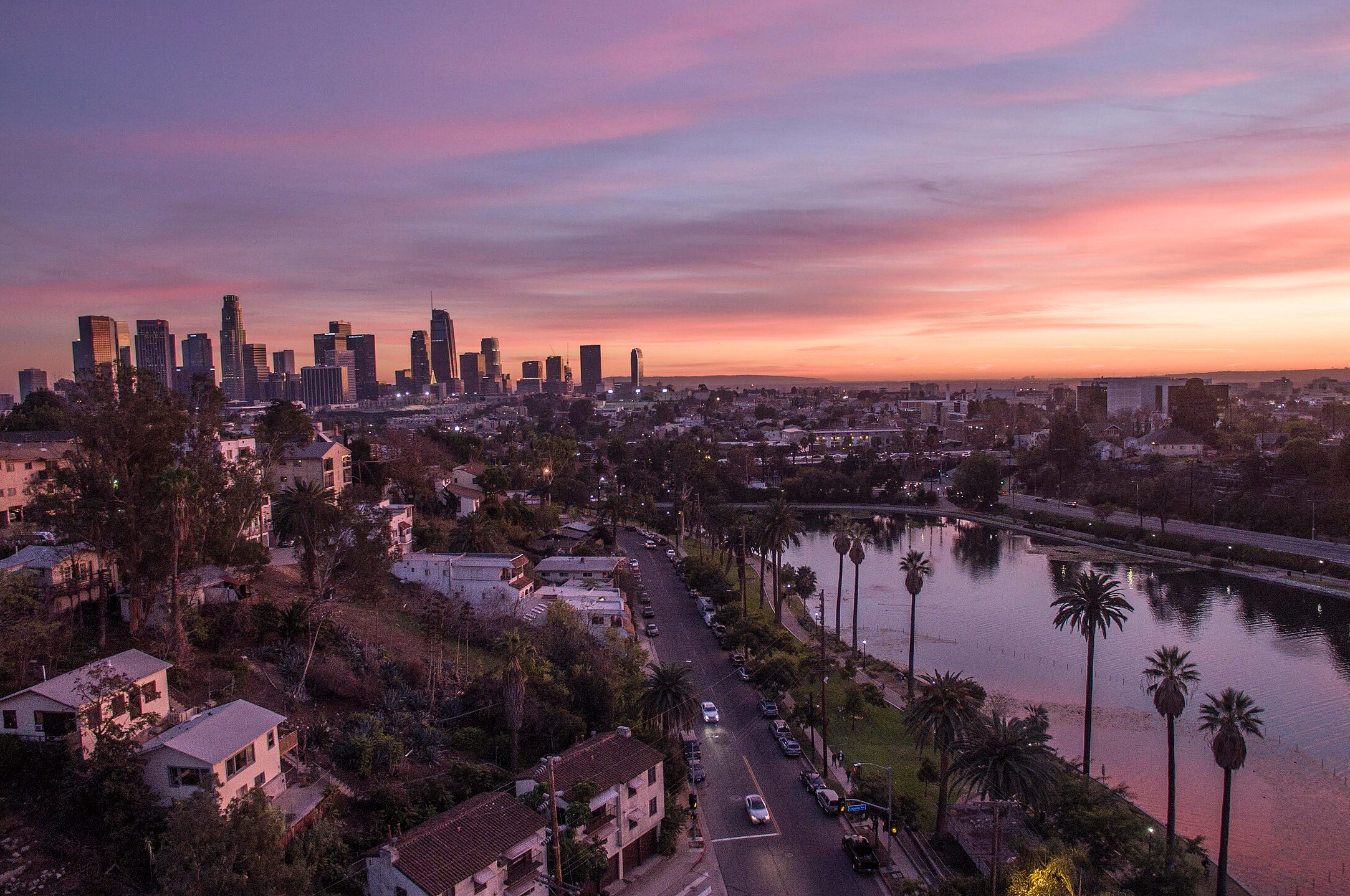 Echo Park Lake with Downtown Los Angeles Skyline