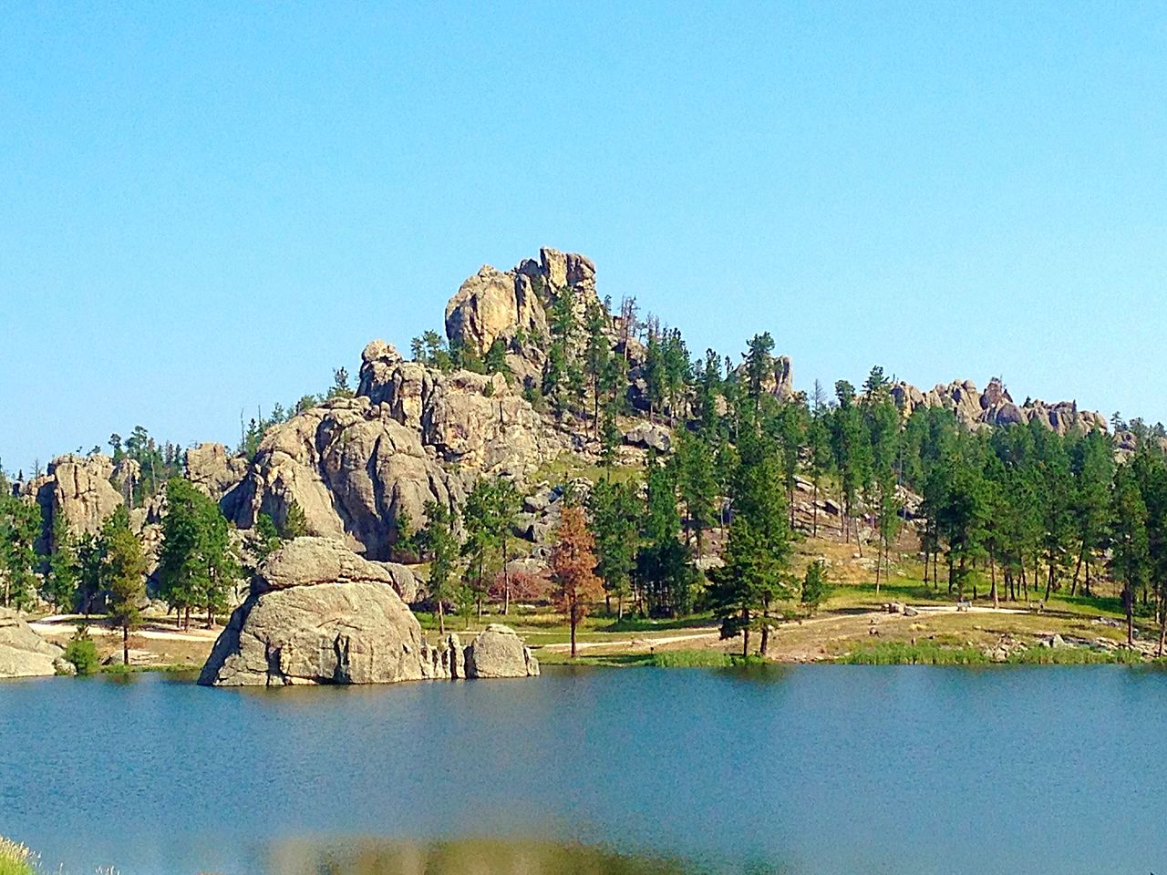 Custer State Park, South Dakota
