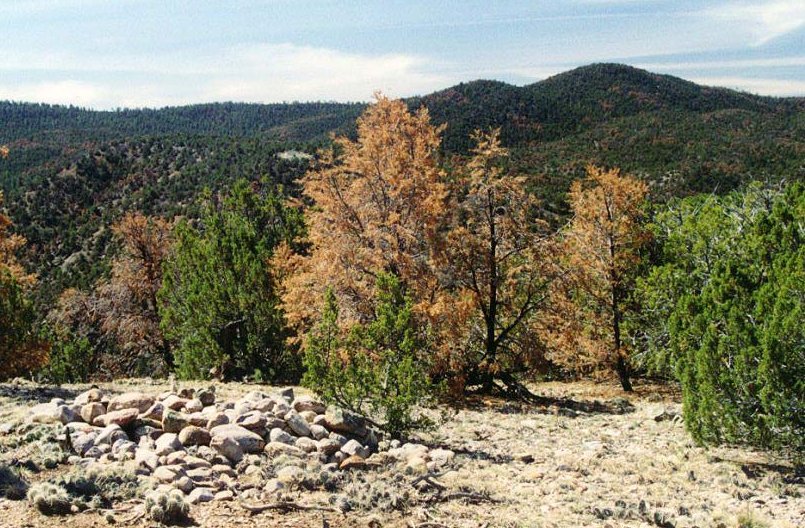 The place of the Battle of Cieneguilla