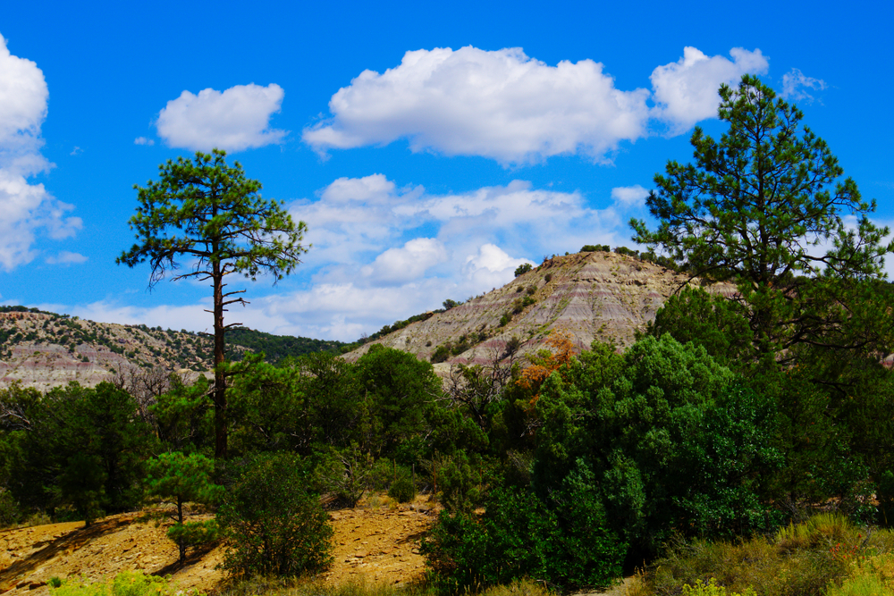 Southern Ute Native American Reservation