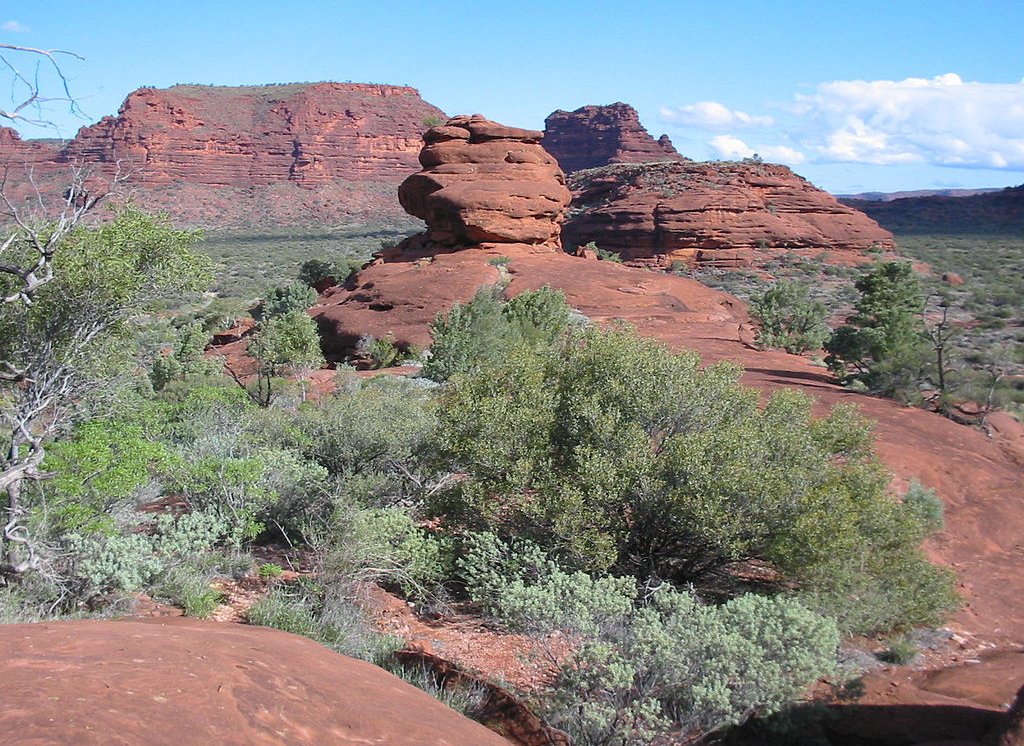 This image showcases the landscape of Finke Gorge National Park in Australia