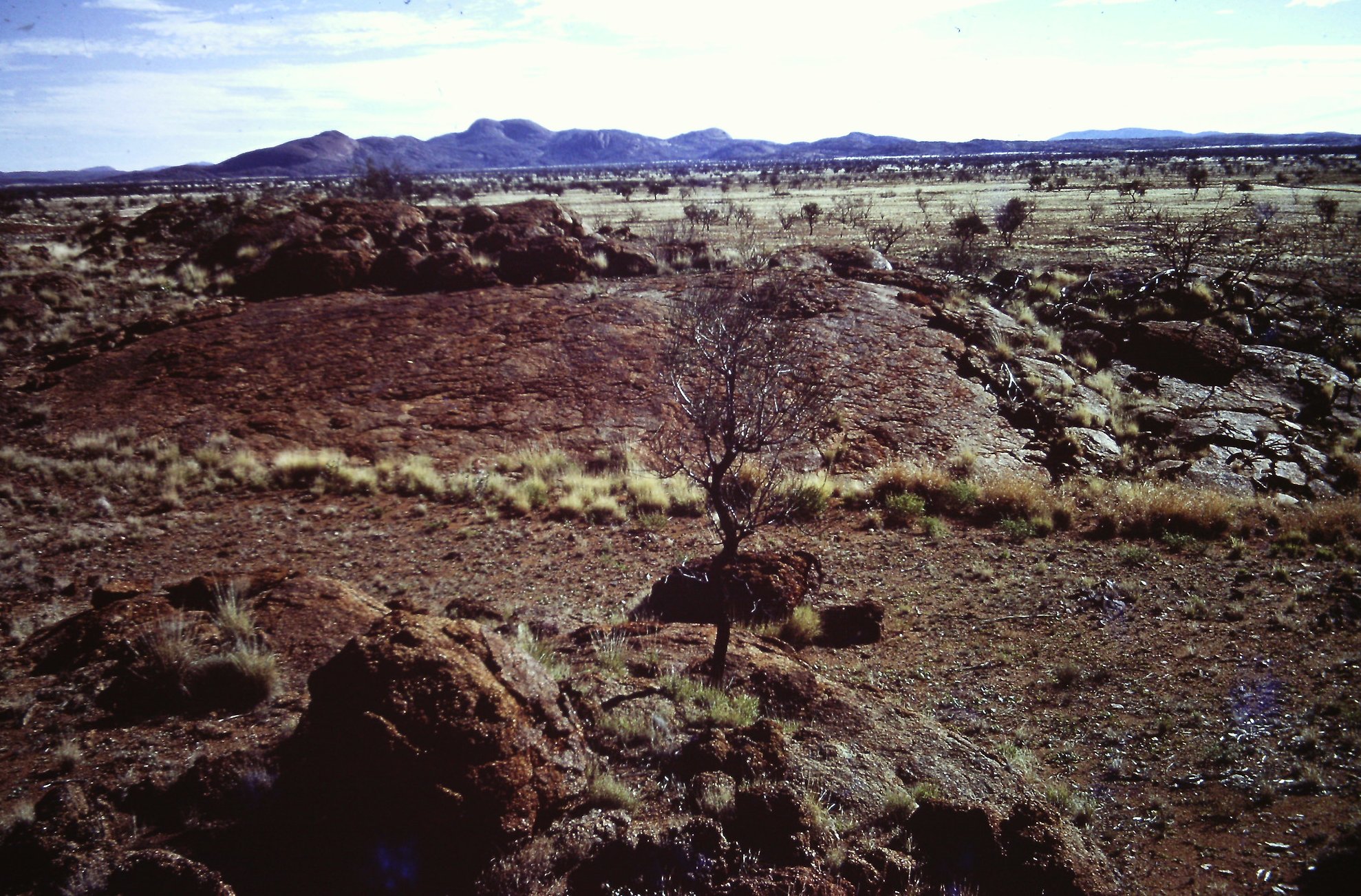 Landscape Photo of the Musgrave Ranges a mountain range in Central Australia