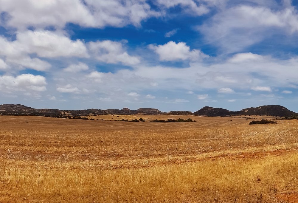 Panorama of characteristic landscape in the northern part of the Western Australian