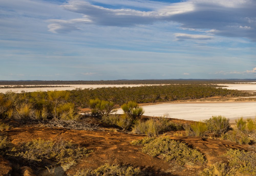 Harsh desert like environment with salt pans around Baladjie lake Western Australia