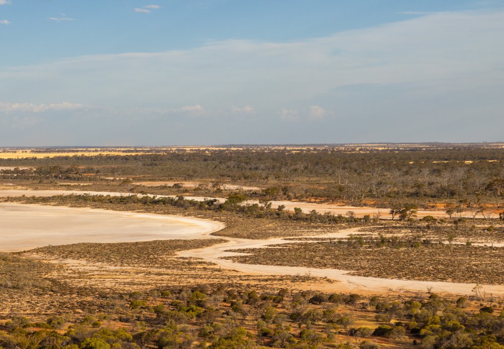 Harsh desert like environment in the Wheatbelt region of Western Australia