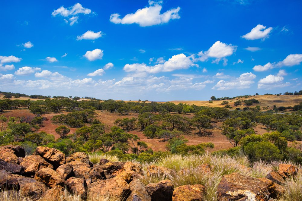 Transition zone between the Western Australian Wheat Belt and the outback