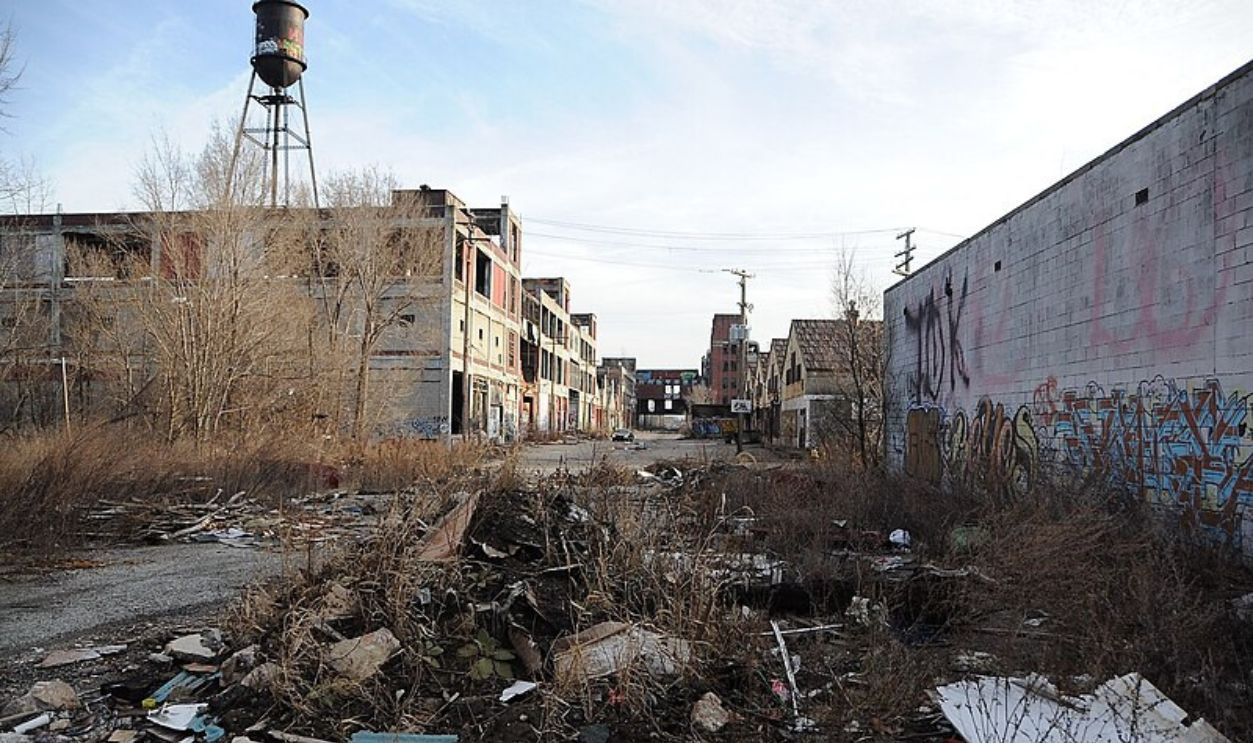 Detroit Urban Wildlife