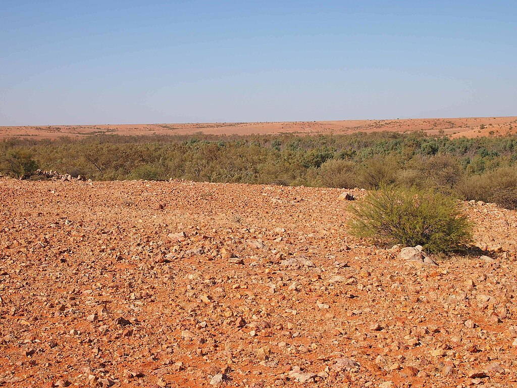 The image showcases forest scene in Finke Gorge National Park in Australia