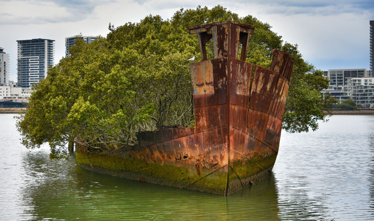 Ss Ayrfield Shipwreck