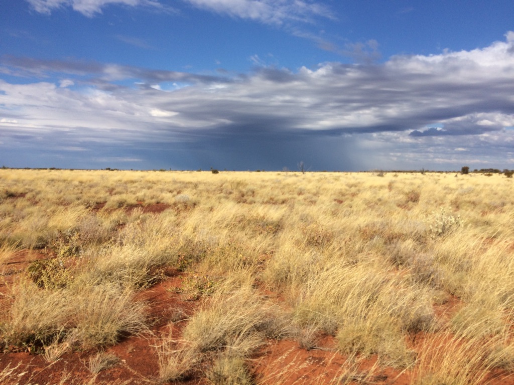 Landscape Photo of Gunbarrel Hwy, Gibson Desert Nature Reserve Australia