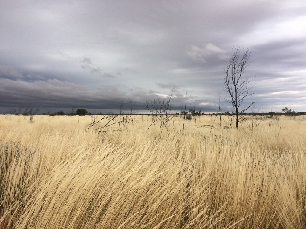 Gunbarrel Hwy, Gibson Desert Nature Reserve, Western Australia