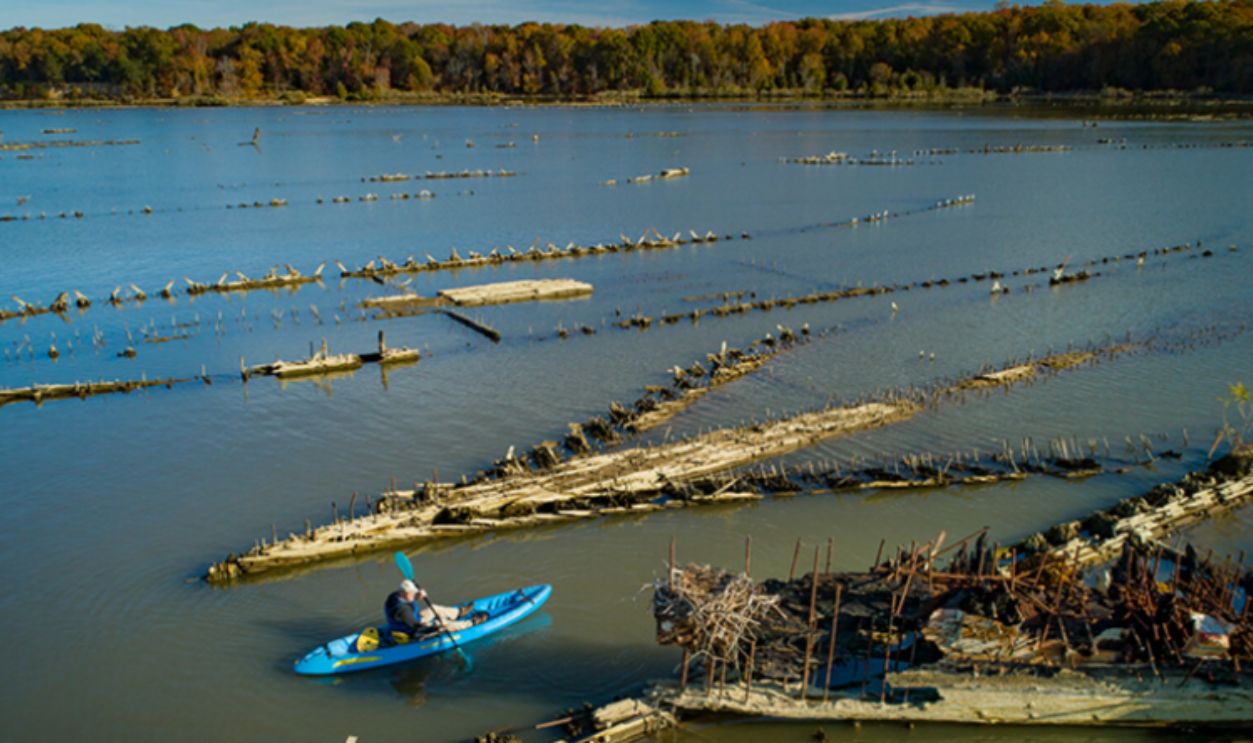 Mallows Bay, United States