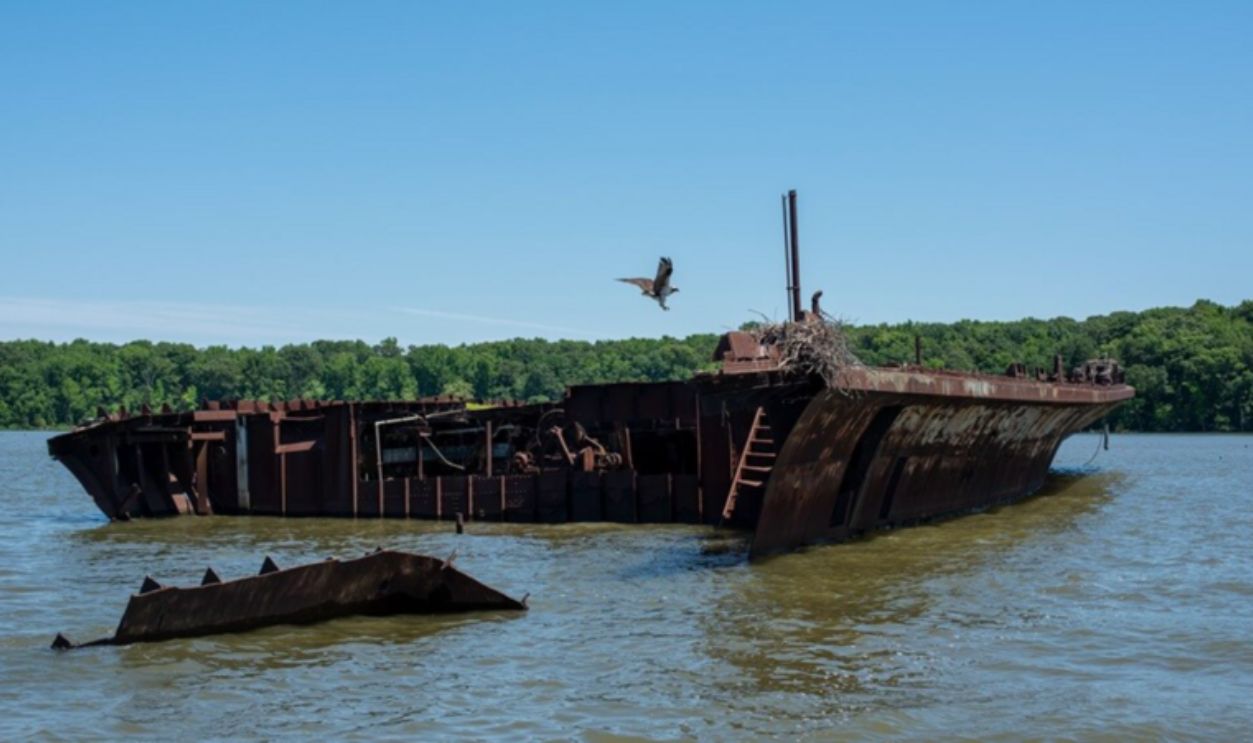 Mallows Bay, United States