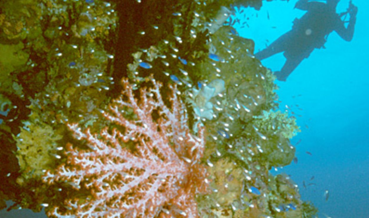 Truk Lagoon, Micronesia