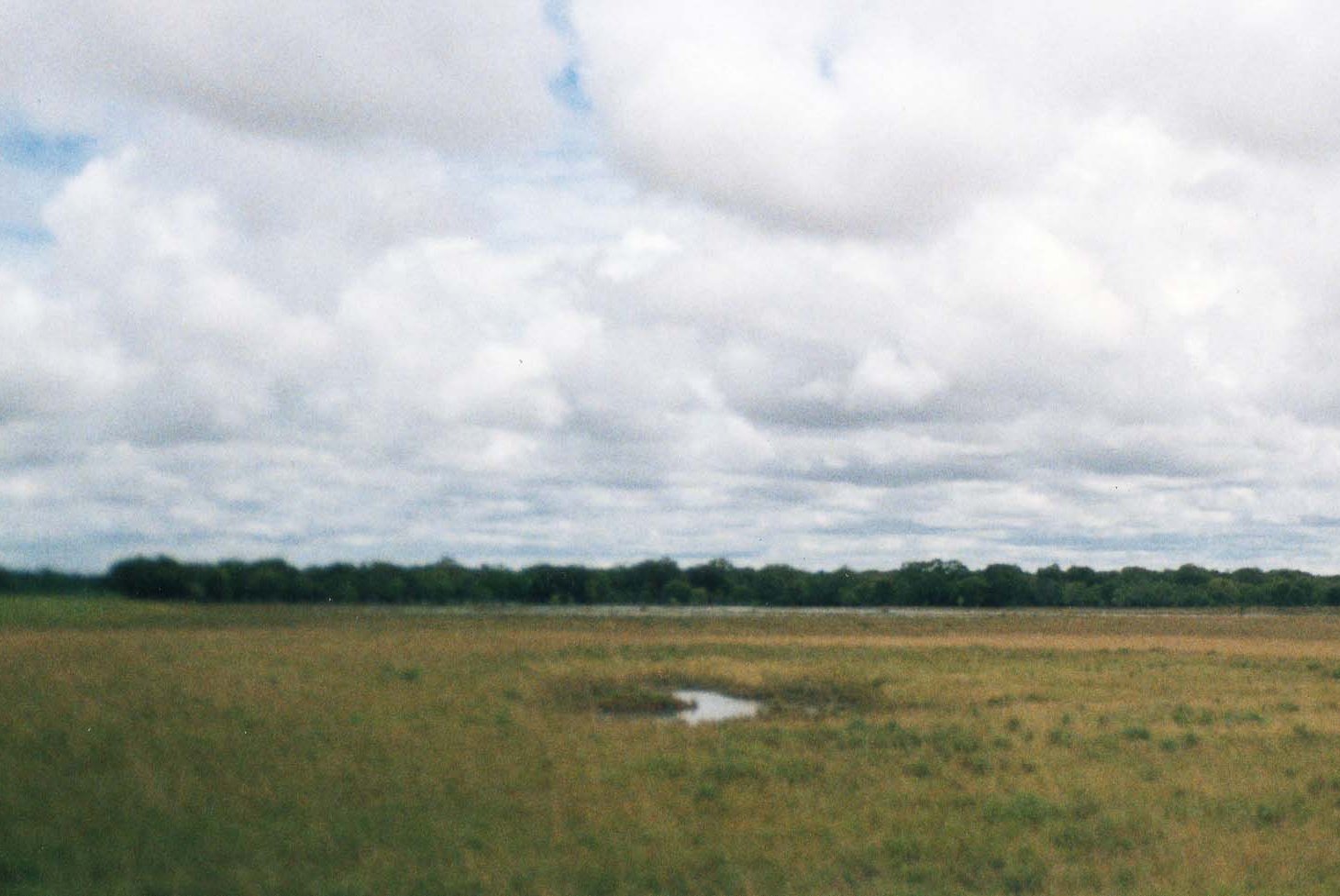 The seemingly endless plan of Los Llanos Venezuela.