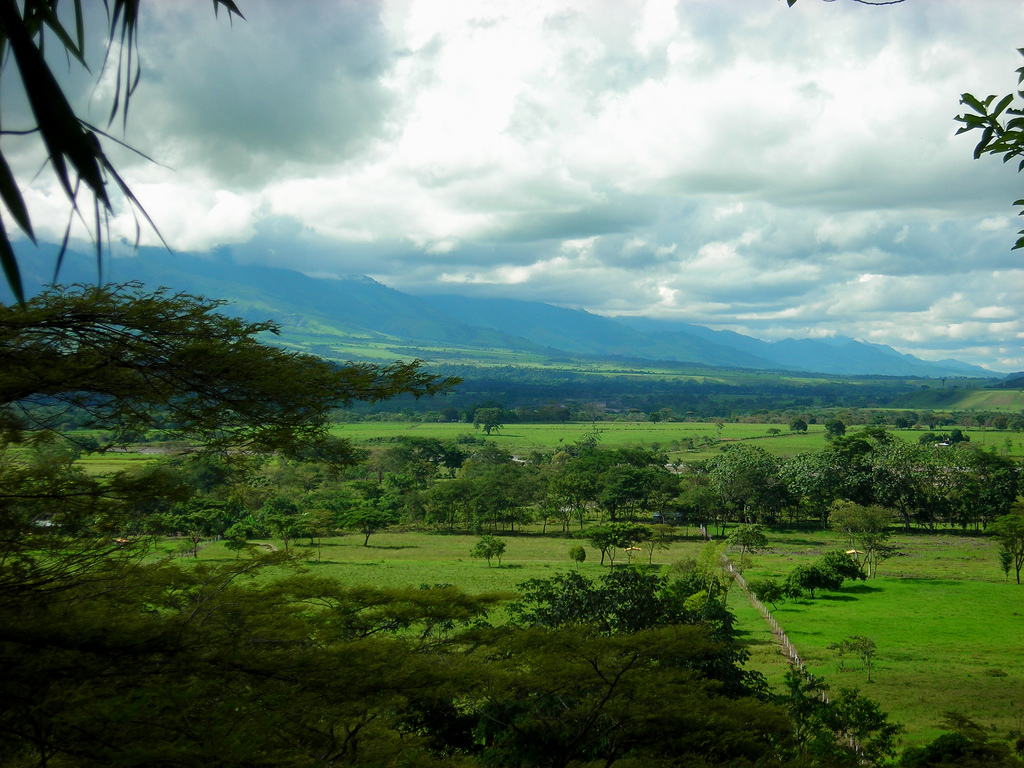 Landscape Photo of The Llanos a vast tropical grassland plain in northwestern South America