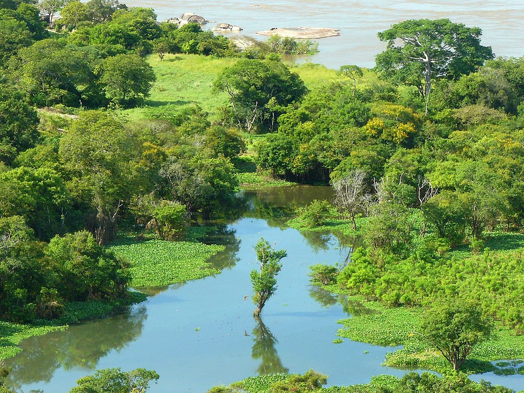 Landscape Photo of the Orinoco River, Amazonas State. Venezuela.