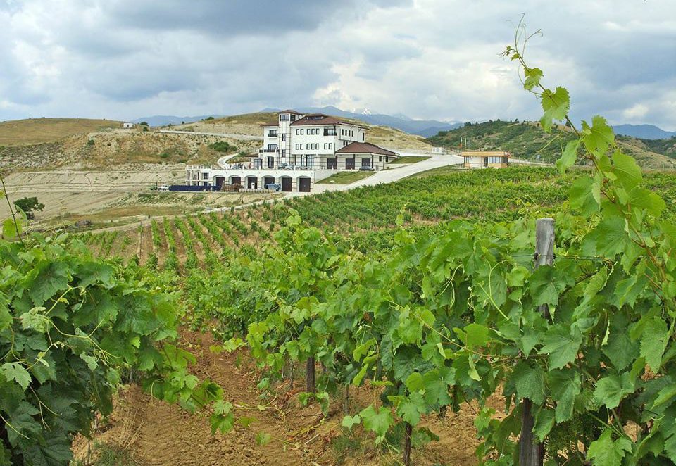 Villa Melnik Winery and Vineyards, Bulgaria