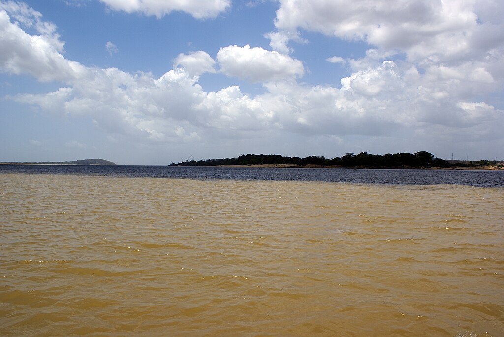 Distinct visual phenomenon of two rivers merging Caroni and Orinoco