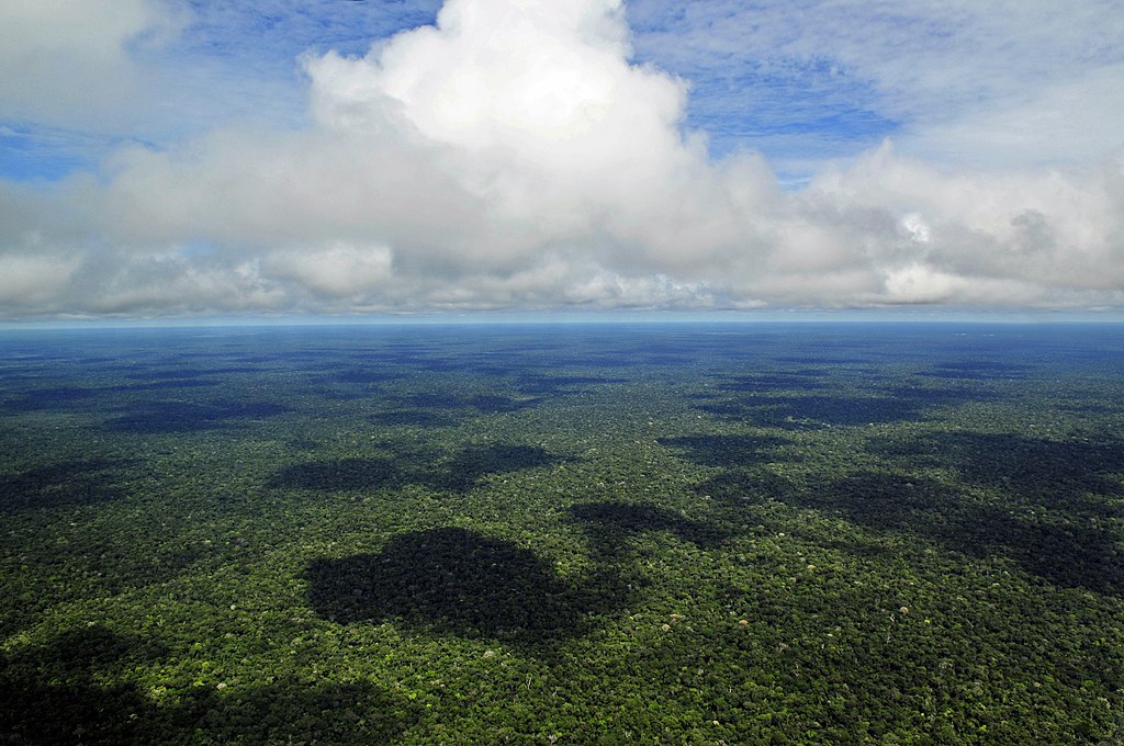 A large part of Guyana's territory is covered by the Amazon rainforest