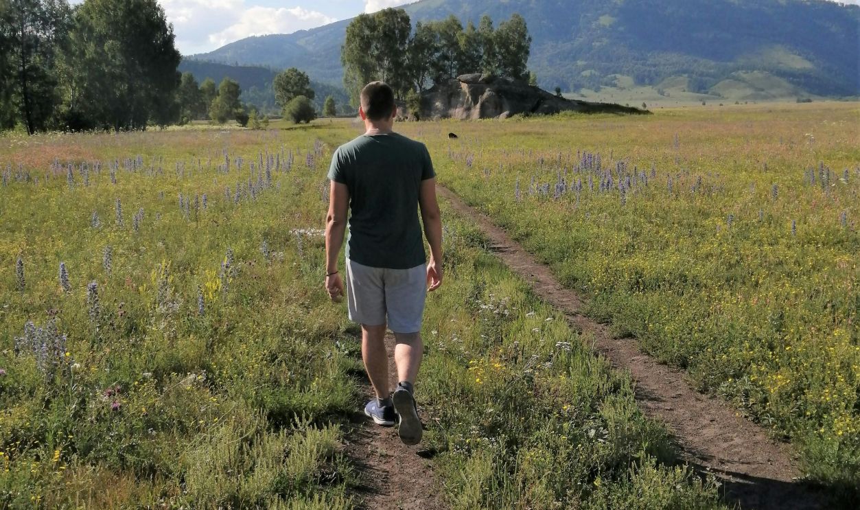 Walking In The Field