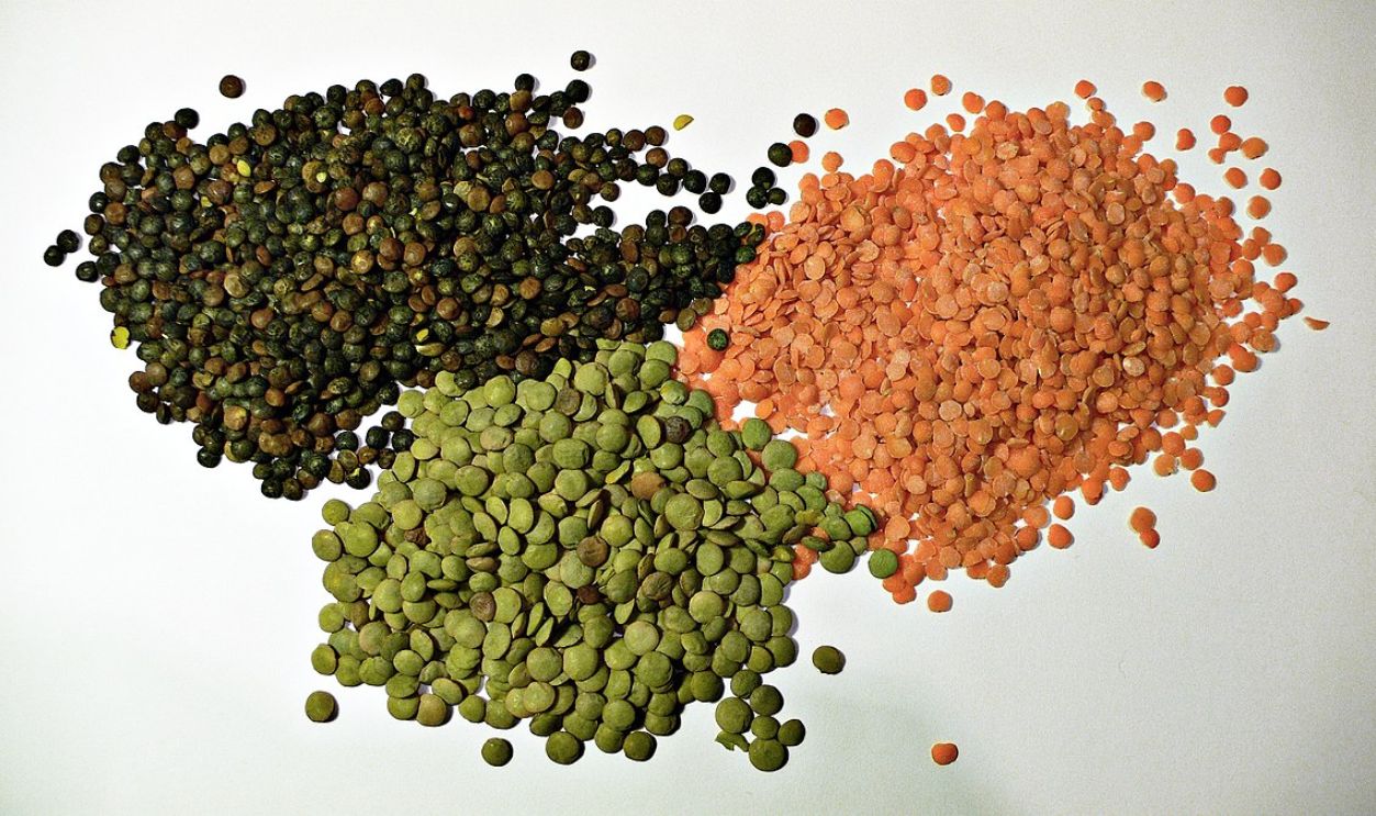 types of lentils