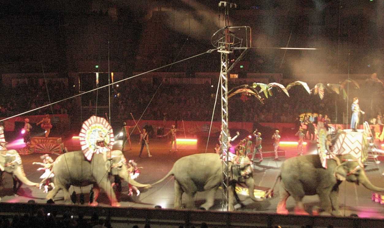Ringling Circus