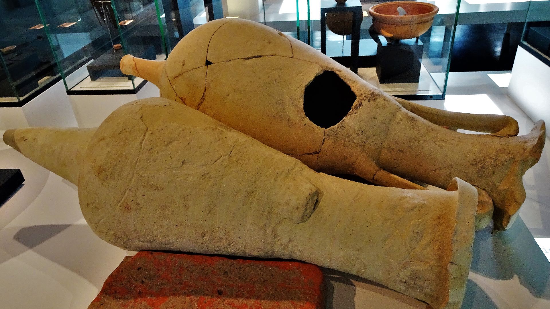 File:Musée archéologique d'Alba la Romaine, appelé MuséAl 03.jpg