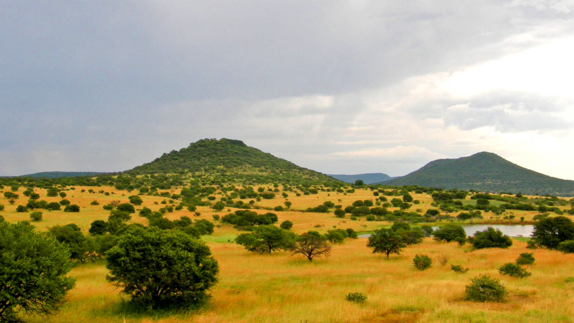 File:Upland South Africa Savanna.jpg