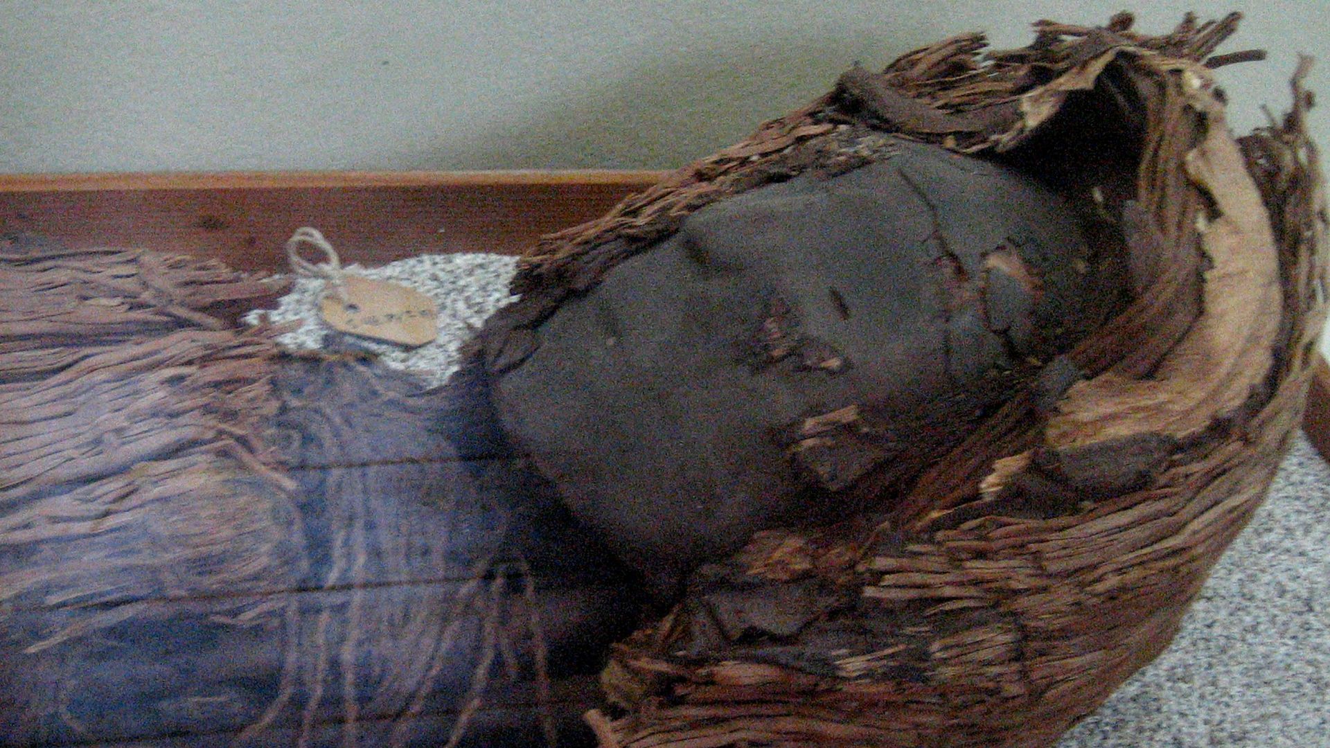 File:Momia cultura chinchorro año 3000 AC.jpg