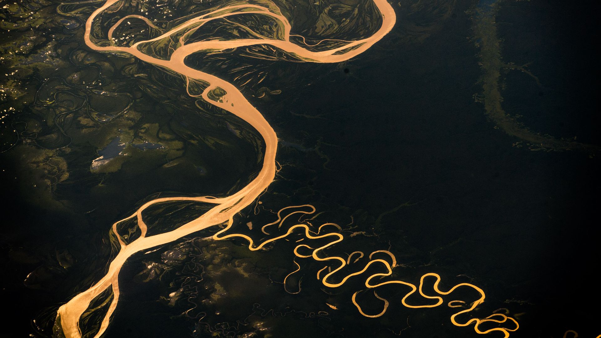 File:Amazon River - 2018.jpg