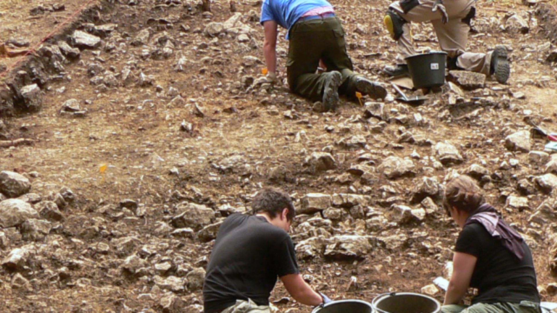 File:Harzhorn Grabungsschnitt von unten 1.jpg