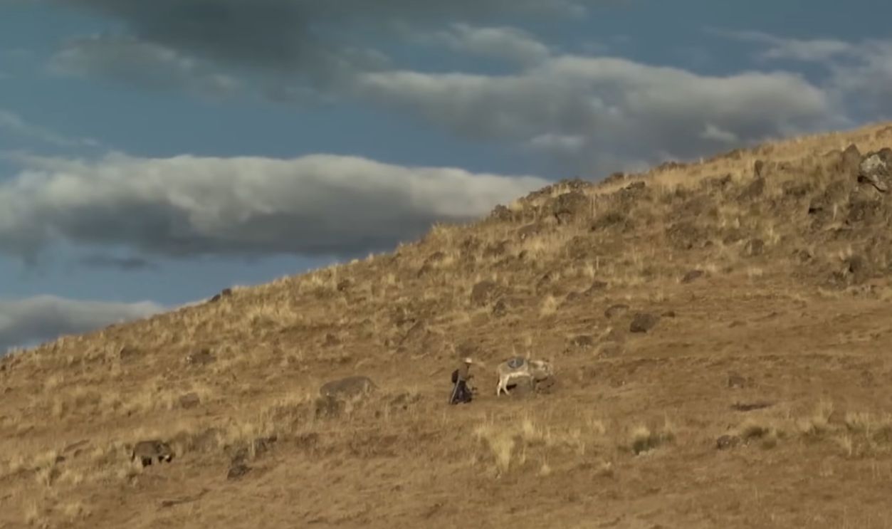 The Bridge Between Science And Heritage