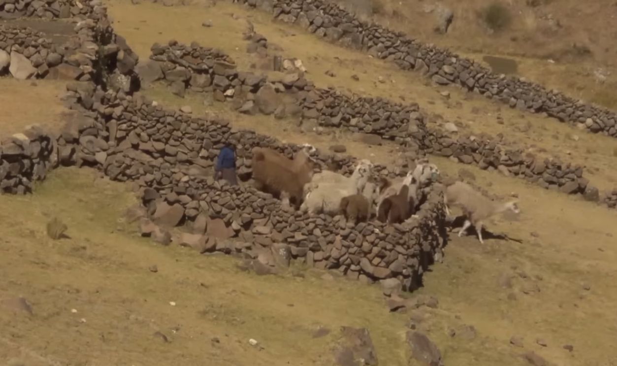 Implications For Future Research